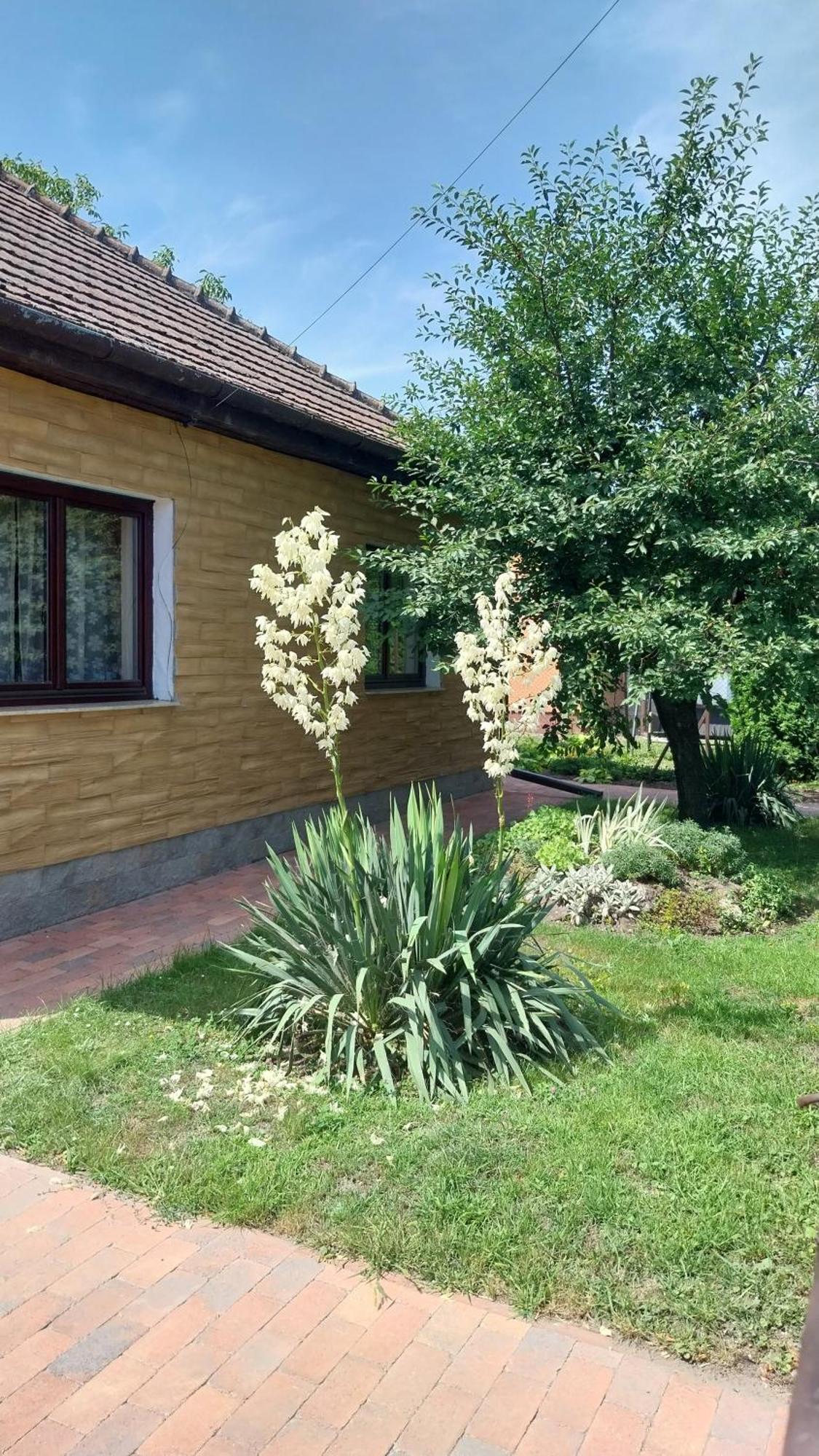 Haven Katherina Fonyodliget Экстерьер фото